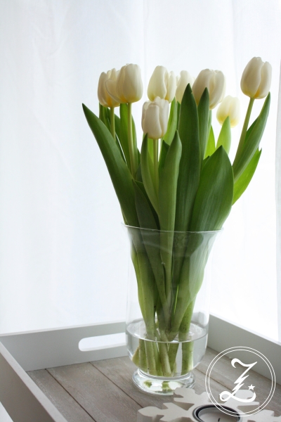 frische weiße Tulpen by Zuckergewitter