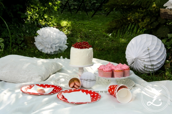 Sommerpicknick - Zitronen-Wickeltorte, Kuchensticks mit Beerenguss und rosa Johannisbeer-Cupcakes | Zuckergewitter.de