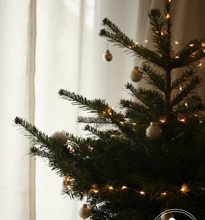 Unser Weihnachtsbaum by Zuckergewitter
